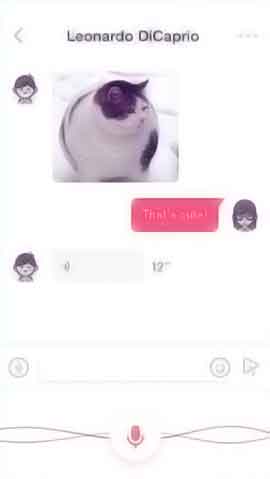 在线DDOS攻击平台软件程序维护界面